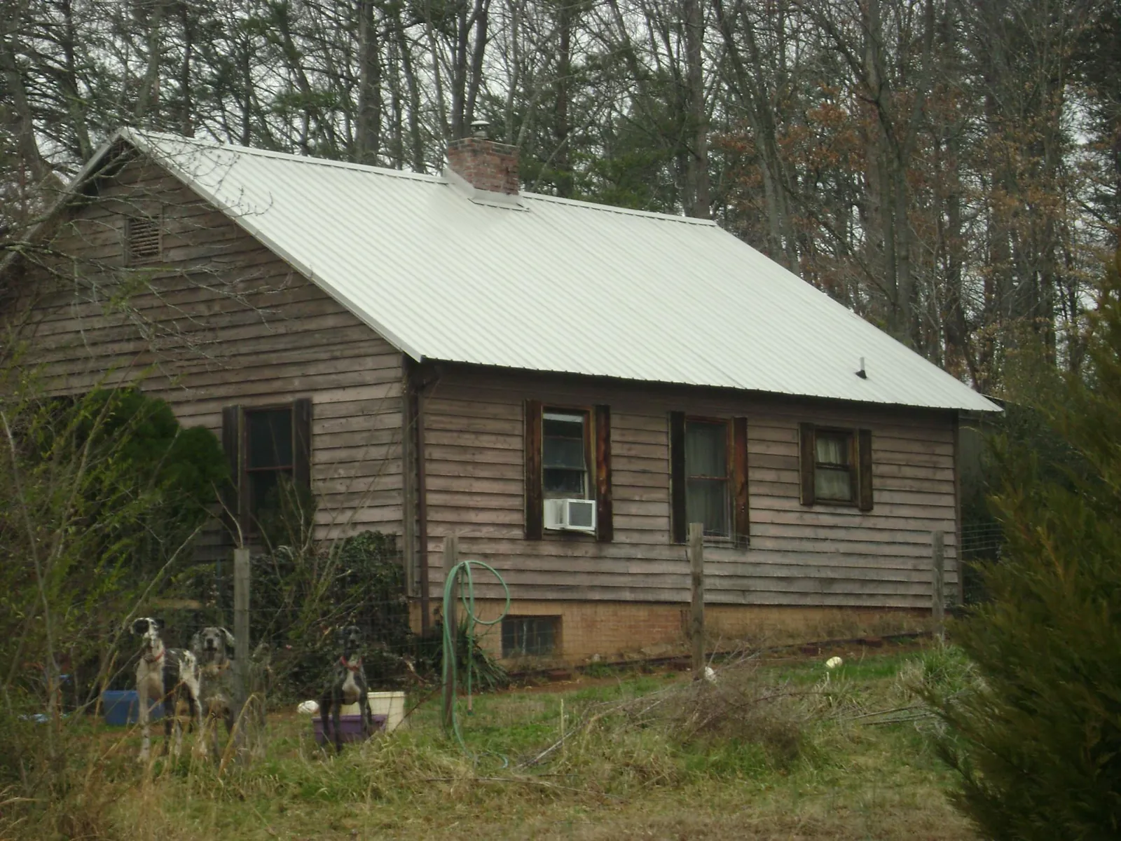White metal roof on an old wood sided farmhouse, from a Asphalt Shingle Roof Repair job in Depew